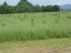 Pohár města 2002