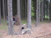 Výlet Vysoká Srbská 2010	